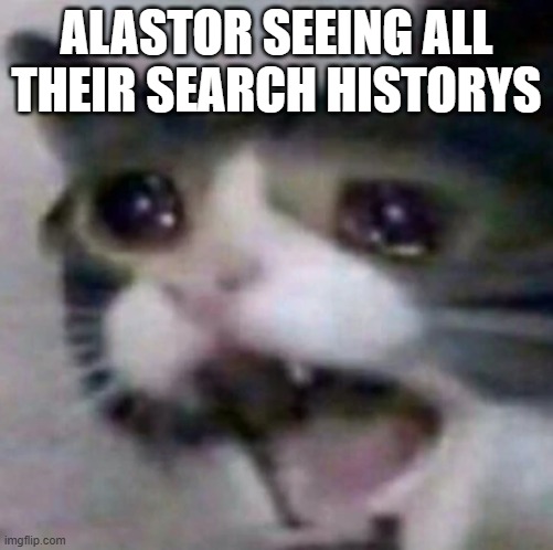 .... | ALASTOR SEEING ALL THEIR SEARCH HISTORYS | image tagged in funny | made w/ Imgflip meme maker