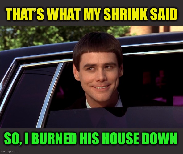 Jim Carrey, dumb and dumber | THAT’S WHAT MY SHRINK SAID SO, I BURNED HIS HOUSE DOWN | image tagged in jim carrey dumb and dumber | made w/ Imgflip meme maker