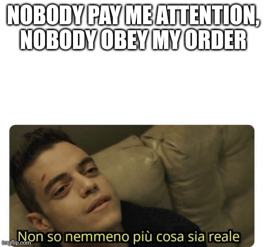 Order | NOBODY PAY ME ATTENTION, NOBODY OBEY MY ORDER | image tagged in non so nemmeno pi cosa sia reale | made w/ Imgflip meme maker