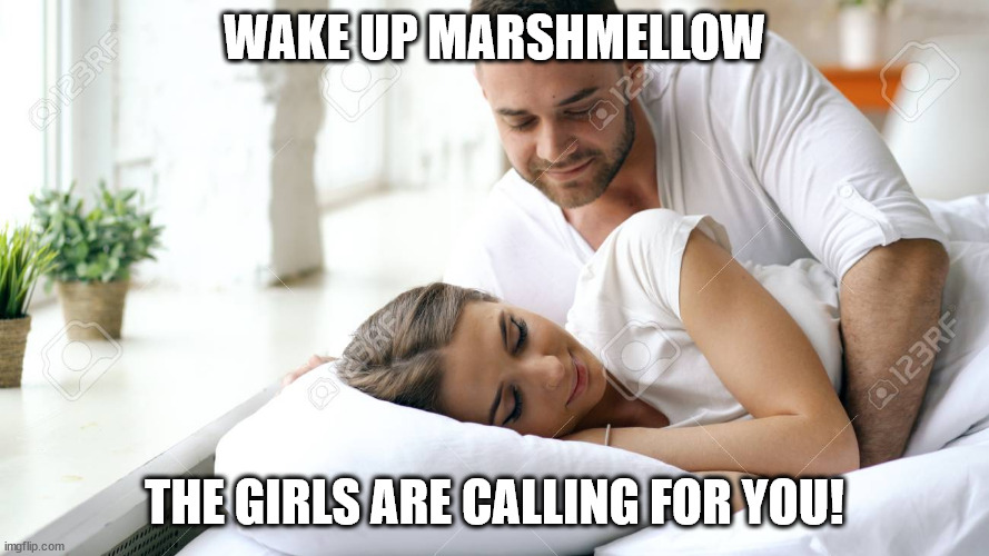 Wake Up Babe | WAKE UP MARSHMELLOW; THE GIRLS ARE CALLING FOR YOU! | image tagged in wake up babe,crush,marshmallow,game,event | made w/ Imgflip meme maker