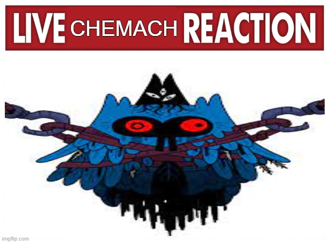 Live Chemach Reaction | CHEMACH | image tagged in live reaction,chemach,live,reaction | made w/ Imgflip meme maker