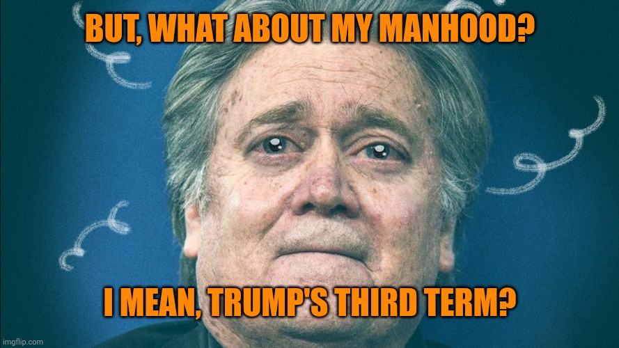 Steve Bannon Sad | BUT, WHAT ABOUT MY MANHOOD? I MEAN, TRUMP'S THIRD TERM? | image tagged in steve bannon sad | made w/ Imgflip meme maker