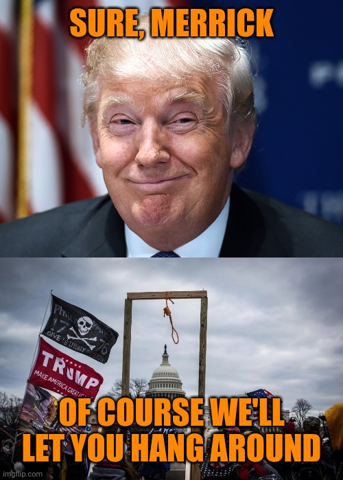 SURE, MERRICK OF COURSE WE'LL LET YOU HANG AROUND | image tagged in trump smarmy smug gloating,trump insurrection jan 6 2021 | made w/ Imgflip meme maker