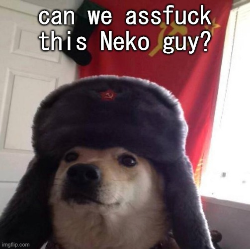 Evil_Neko temp | can we assfuck this Neko guy? | image tagged in evil_neko temp | made w/ Imgflip meme maker