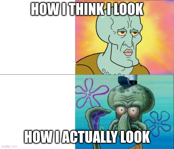 Handsome Squidward vs Ugly Squidward | HOW I THINK I LOOK; HOW I ACTUALLY LOOK | image tagged in handsome squidward vs ugly squidward | made w/ Imgflip meme maker