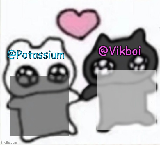 High Quality Potassium and Vikboi shared announcement template Blank Meme Template