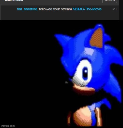 image tagged in sonic stares | made w/ Imgflip meme maker