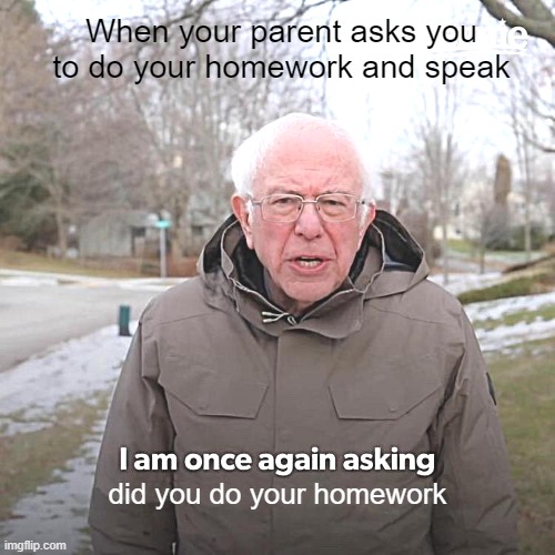 Meme Reaction | When your parent asks you to do your homework and speak; did you do your homework | image tagged in memes,bernie i am once again asking for your support | made w/ Imgflip meme maker