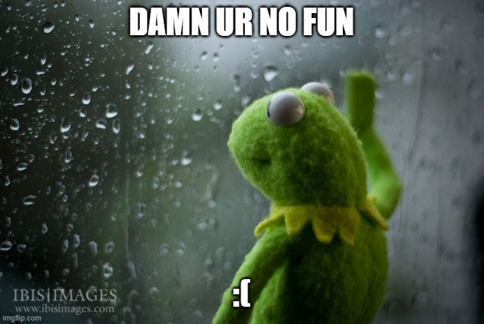 damn | DAMN UR NO FUN; :( | image tagged in kermit window | made w/ Imgflip meme maker