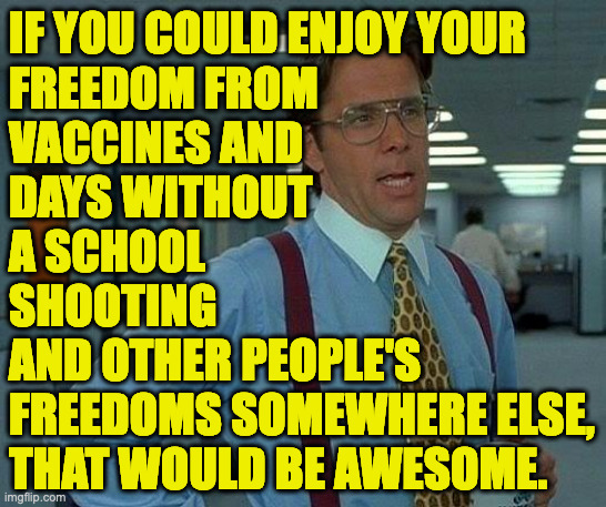 That Would Be Great Meme | IF YOU COULD ENJOY YOUR
FREEDOM FROM
VACCINES AND
DAYS WITHOUT
A SCHOOL
SHOOTING
AND OTHER PEOPLE'S
FREEDOMS SOMEWHERE ELSE,
THAT WOULD BE A | image tagged in memes,that would be great | made w/ Imgflip meme maker