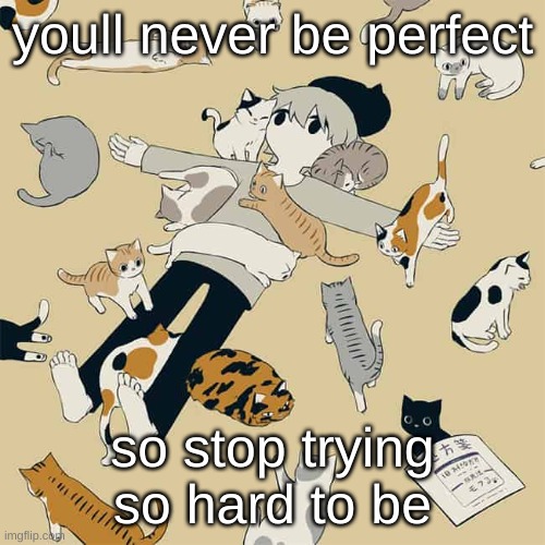 Avogado6 | youll never be perfect; so stop trying so hard to be | image tagged in avogado6 | made w/ Imgflip meme maker