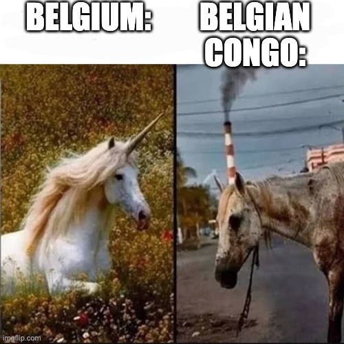 Unicorn vs dirty horse | BELGIUM:; BELGIAN CONGO: | image tagged in unicorn vs dirty horse,memes,history memes | made w/ Imgflip meme maker