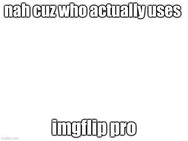 fr tho | nah cuz who actually uses; imgflip pro | image tagged in imgflip pro,greg,fwiuefvwvbfqkvfwev | made w/ Imgflip meme maker