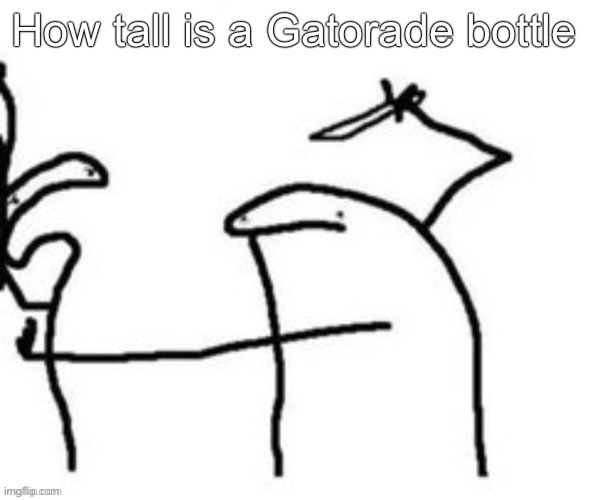 Mnbnnnbngghhrrhhnnnngghhhh | How tall is a Gatorade bottle | image tagged in mnbnnnbngghhrrhhnnnngghhhh | made w/ Imgflip meme maker