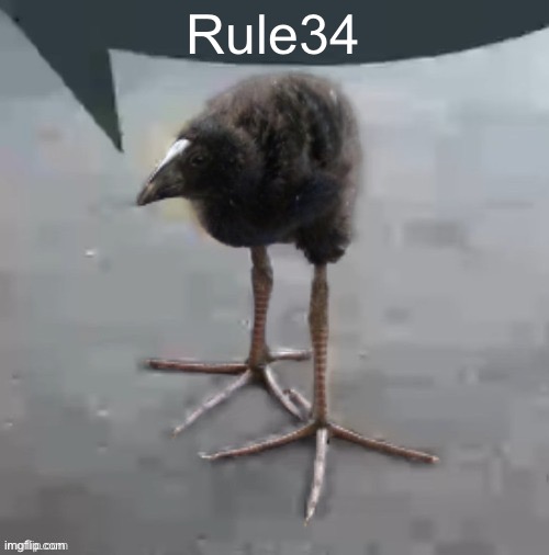 Wah wah wah wah wah wah wah wah | Rule34 | image tagged in wah wah wah wah wah wah wah wah | made w/ Imgflip meme maker