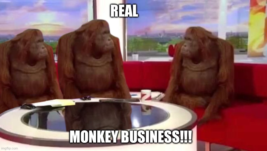 where monkey | REAL; MONKEY BUSINESS!!! | image tagged in where monkey | made w/ Imgflip meme maker