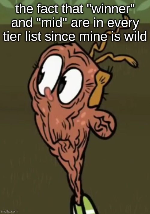two shoes wild | the fact that "winner" and "mid" are in every tier list since mine is wild | image tagged in two shoes wild | made w/ Imgflip meme maker