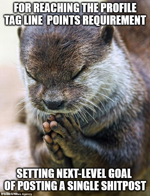 not really a goal oriented person | FOR REACHING THE PROFILE TAG LINE  POINTS REQUIREMENT; SETTING NEXT-LEVEL GOAL 
OF POSTING A SINGLE SHITPOST | image tagged in thank you lord otter | made w/ Imgflip meme maker