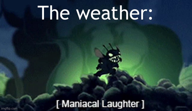 Evil Stitch | The weather: | image tagged in evil stitch | made w/ Imgflip meme maker