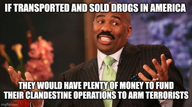 Steve Harvey Meme | IF TRANSPORTED AND SOLD DRUGS IN AMERICA THEY WOULD HAVE PLENTY OF MONEY TO FUND THEIR CLANDESTINE OPERATIONS TO ARM TERRORISTS | image tagged in memes,steve harvey | made w/ Imgflip meme maker