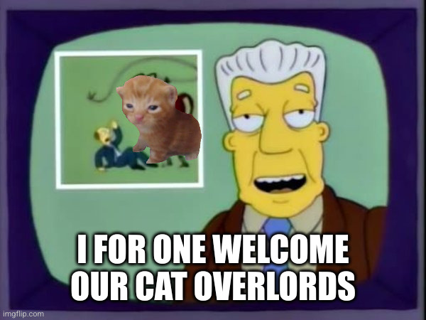 I For One Welcome Our New Insect Overlords | I FOR ONE WELCOME OUR CAT OVERLORDS | image tagged in i for one welcome our new insect overlords | made w/ Imgflip meme maker