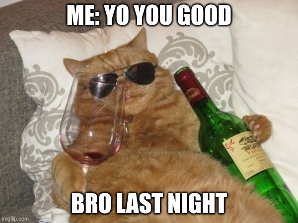 Wine Cat Birthday | ME: YO YOU GOOD; BRO LAST NIGHT | image tagged in wine cat birthday | made w/ Imgflip meme maker