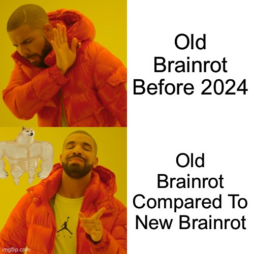 2024 Brainrot Is Just Cringe | Old Brainrot Before 2024; Old Brainrot Compared To New Brainrot | image tagged in memes,drake hotline bling,skibidi toilet sucks | made w/ Imgflip meme maker