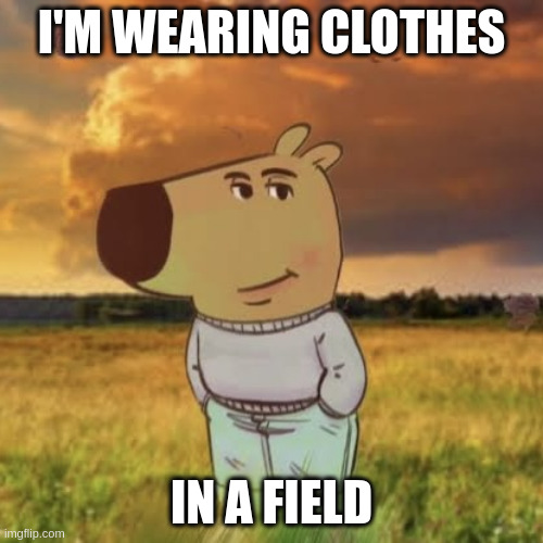 Just in a Field | I'M WEARING CLOTHES; IN A FIELD | image tagged in chill guy,bonehurtingjuice | made w/ Imgflip meme maker