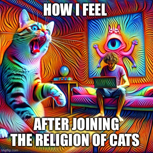 Well, this is mind blowing that cats are slaveholders… | HOW I FEEL; AFTER JOINING THE RELIGION OF CATS | image tagged in cat,cats,funny cats,funny memes,memes | made w/ Imgflip meme maker