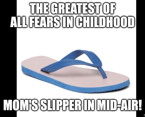 The vision was enough for your existence to be revoked | THE GREATEST OF ALL FEARS IN CHILDHOOD; MOM'S SLIPPER IN MID-AIR! | image tagged in moms slipper,funny,funny memes,fun,mom,slippers | made w/ Imgflip meme maker