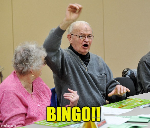 Bingo | BINGO!! | image tagged in bingo | made w/ Imgflip meme maker