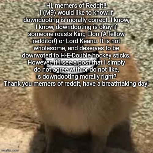 goofy ass capybara | Hi, memers of Reddit!! I (M9) would like to know if downdooting is morally correct. I know, I know, downdooting is okay if someone roasts King Elon (A fellow redditor!) or Lord Keanu. It is not wholesome, and deserves to be downvoted to H-E-Double hockey sticks. However, if I see a post that I simply do not agree with or do not like, is downdooting morally right? Thank you memers of reddit, have a breathtaking day! | image tagged in goofy ass capybara | made w/ Imgflip meme maker