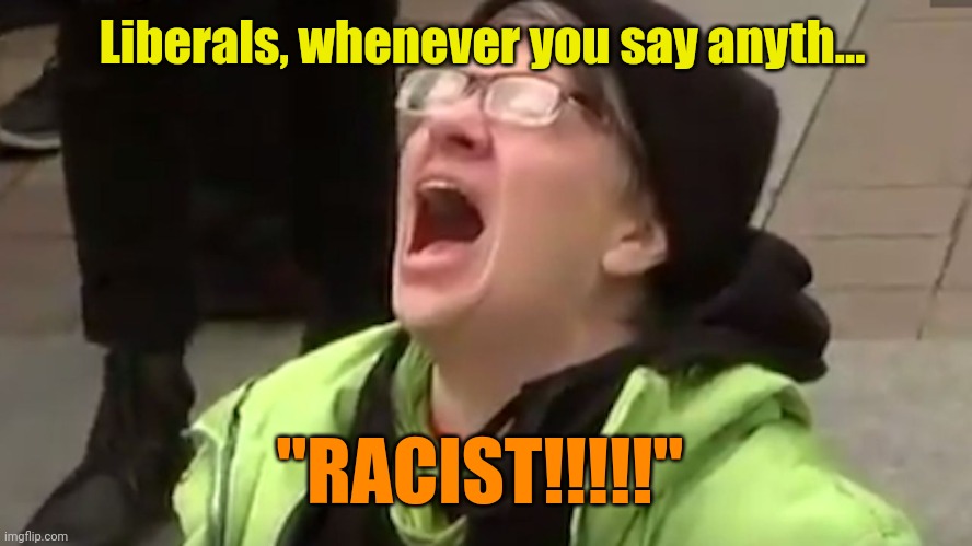 Screaming Liberal  | Liberals, whenever you say anyth... "RACIST!!!!!" | image tagged in screaming liberal | made w/ Imgflip meme maker