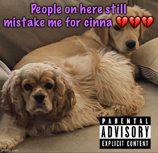 Gnocchi and Henry’s first studio album | People on here still mistake me for cinna 💔💔💔 | image tagged in gnocchi and henry s first studio album,cinnabox announcement | made w/ Imgflip meme maker