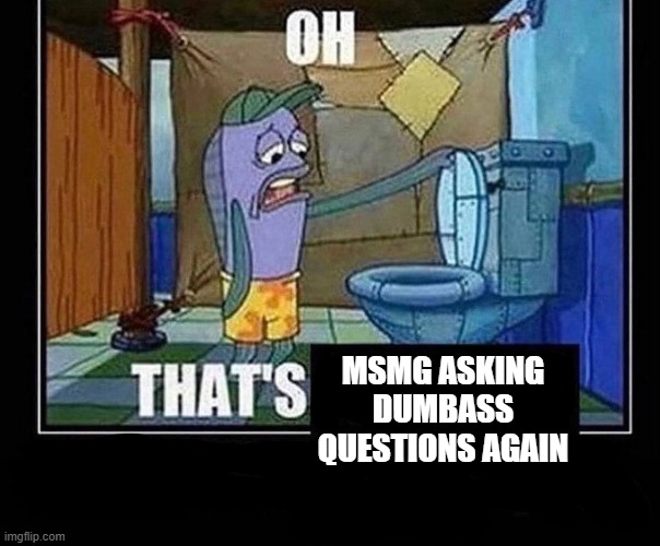 . | MSMG ASKING DUMBASS QUESTIONS AGAIN | image tagged in oh that s | made w/ Imgflip meme maker