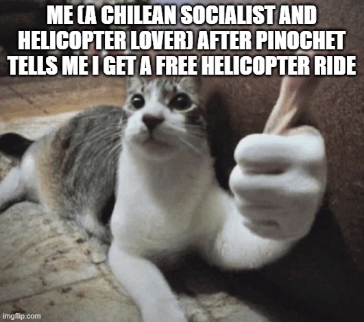 cat thumbs up | ME (A CHILEAN SOCIALIST AND HELICOPTER LOVER) AFTER PINOCHET TELLS ME I GET A FREE HELICOPTER RIDE | image tagged in cat thumbs up | made w/ Imgflip meme maker