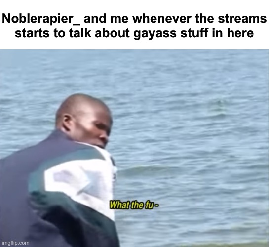 I remember when dial said if she wanted to give us her breasts, I refused, I know rapier would have too | Noblerapier_ and me whenever the streams starts to talk about gayass stuff in here | image tagged in what the fu-,msmg | made w/ Imgflip meme maker