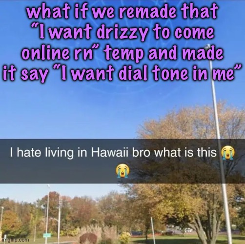 I hate living in Hawaii bro what is this | what if we remade that “I want drizzy to come online rn” temp and made it say “I want dial tone in me” | image tagged in i hate living in hawaii bro what is this,cinnabox announcement | made w/ Imgflip meme maker