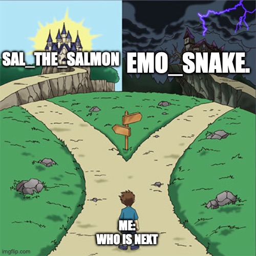 who is next later | EMO_SNAKE. SAL_THE_SALMON; ME: WHO IS NEXT | image tagged in two paths | made w/ Imgflip meme maker