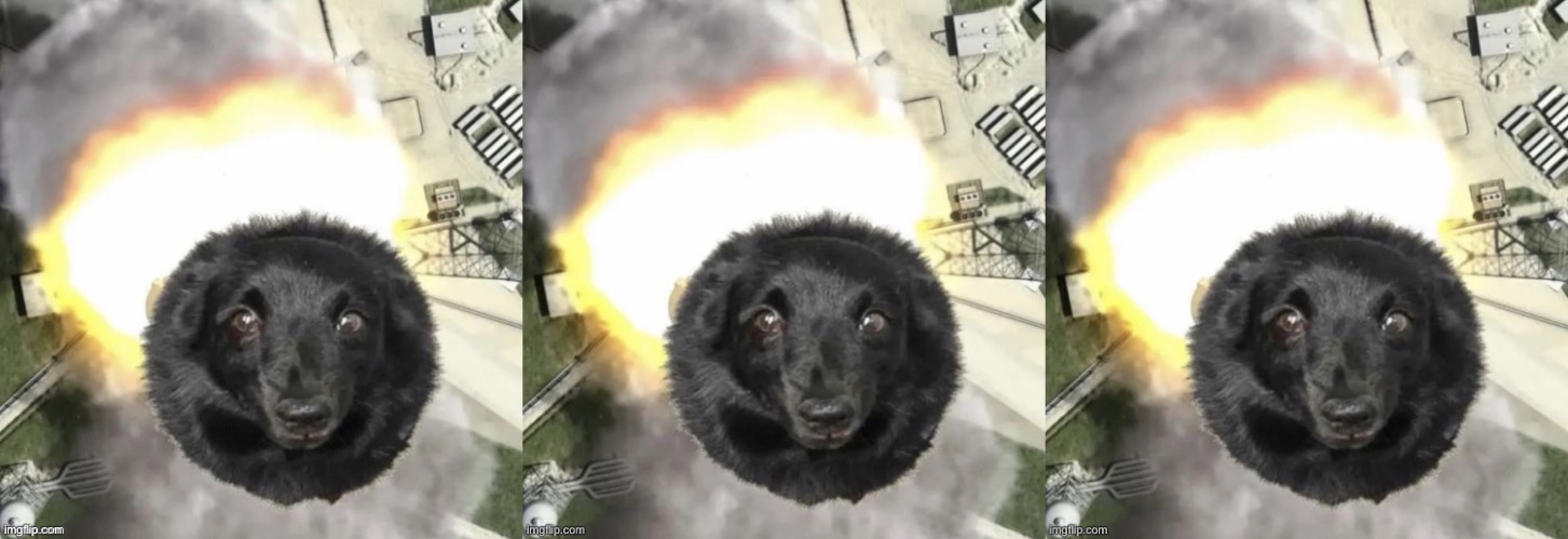THE LAST THING YOU'LL EVER SEE!!! 「トリブルロケットドッグ離陸！」（TRIPLE ROCKET-DOG TAKEOFF!) | made w/ Imgflip meme maker