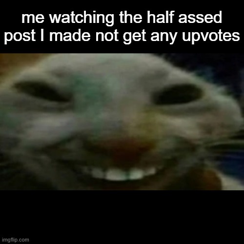 Creepy Cat | me watching the half assed post I made not get any upvotes | image tagged in creepy cat | made w/ Imgflip meme maker