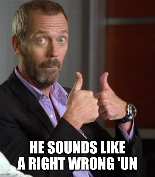 Dr. House | HE SOUNDS LIKE A RIGHT WRONG 'UN | image tagged in dr house | made w/ Imgflip meme maker