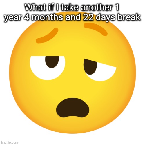 sleepy woozy face | What if I take another 1 year 4 months and 22 days break | image tagged in sleepy woozy face | made w/ Imgflip meme maker