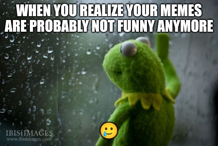 Maybe, maybe not | WHEN YOU REALIZE YOUR MEMES ARE PROBABLY NOT FUNNY ANYMORE; 🥲 | image tagged in kermit window,funny,funny memes,fun | made w/ Imgflip meme maker