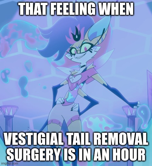 Haha Beelzebub version of knee surgery meme go brrr | THAT FEELING WHEN; VESTIGIAL TAIL REMOVAL SURGERY IS IN AN HOUR | made w/ Imgflip meme maker