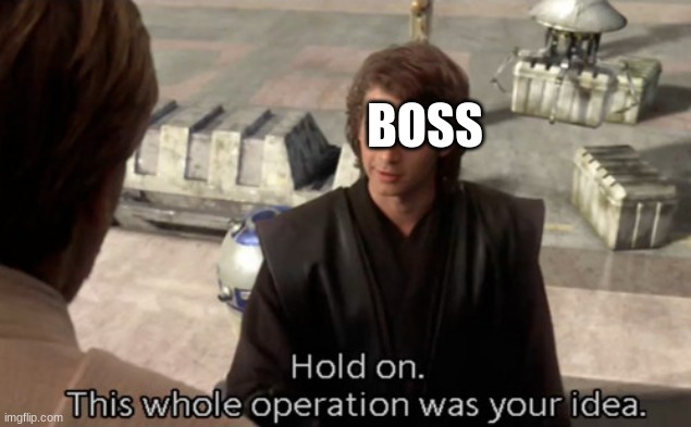 Hold on this whole operation was your idea | BOSS | image tagged in hold on this whole operation was your idea | made w/ Imgflip meme maker