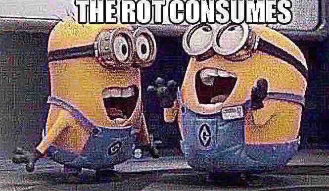 The rot consumes | made w/ Imgflip meme maker