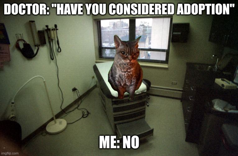 what the sigma how do I save this | DOCTOR: "HAVE YOU CONSIDERED ADOPTION"; ME: NO | image tagged in doctor office | made w/ Imgflip meme maker