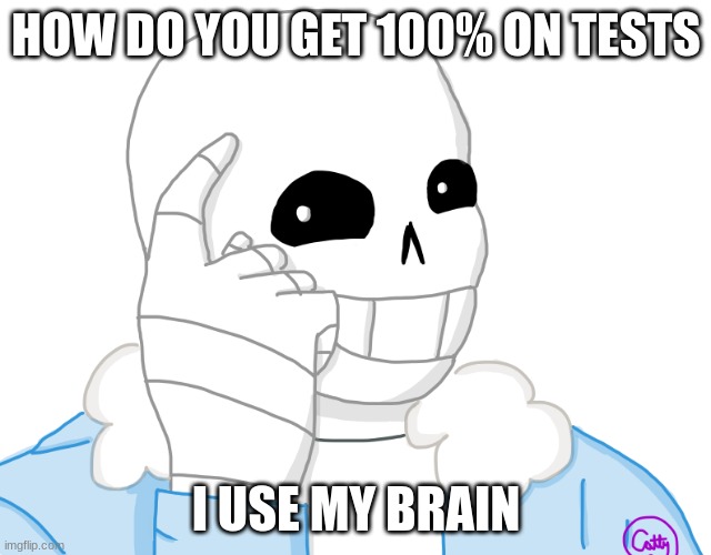 It’s Sans, Think About It | HOW DO YOU GET 100% ON TESTS; I USE MY BRAIN | image tagged in it s sans think about it | made w/ Imgflip meme maker