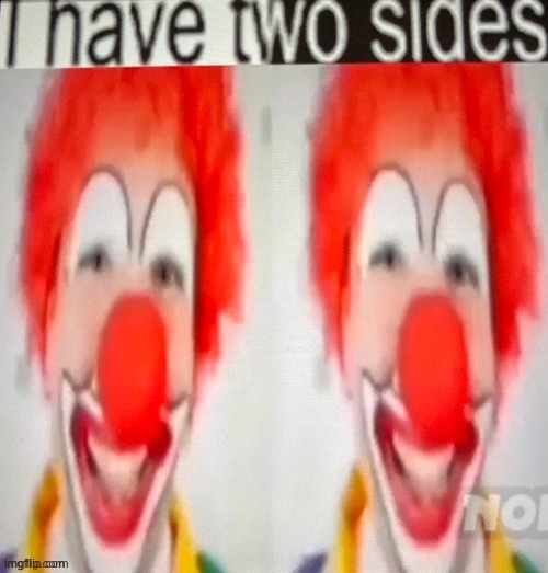 I have two sides | image tagged in i have two sides | made w/ Imgflip meme maker